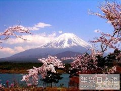 日本文化 赴日赏樱游价格同比略有下调