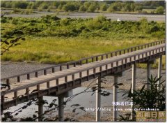 让日本人引以自豪的世界最长木桥