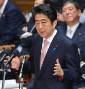 日本众院补选中获得一胜 安倍或维持强势执政