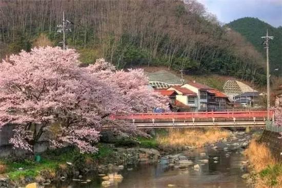 日本农村人住的房子 我只有羡慕嫉妒恨