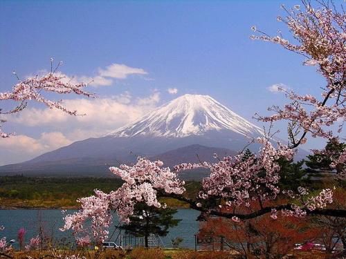 资料图：日本